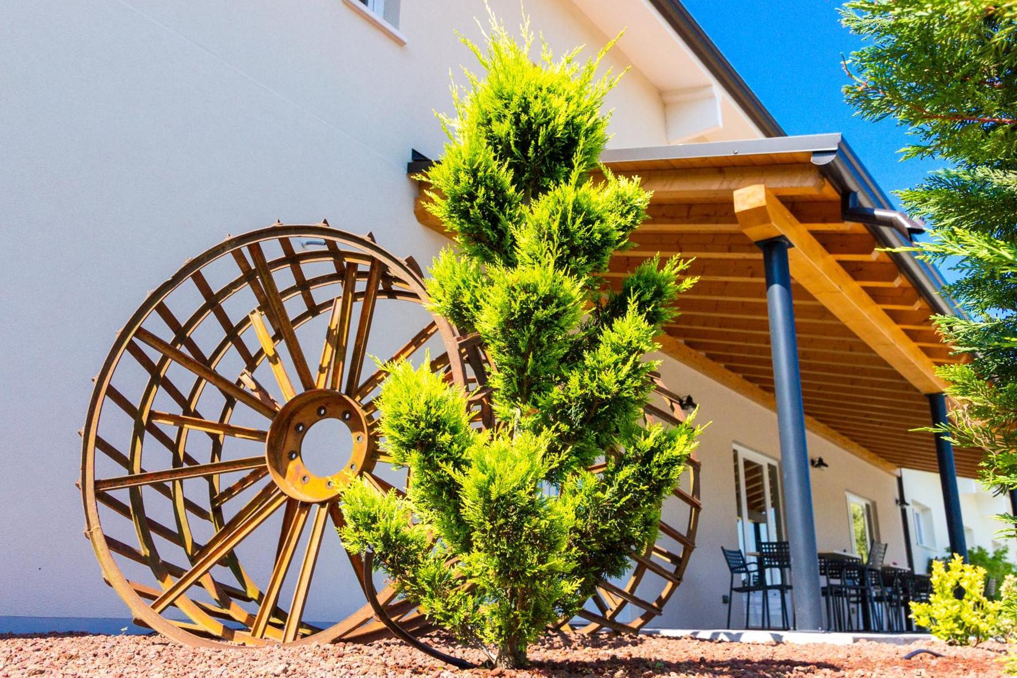 Agriturismo Ca' Manzato Passarella エクステリア 写真